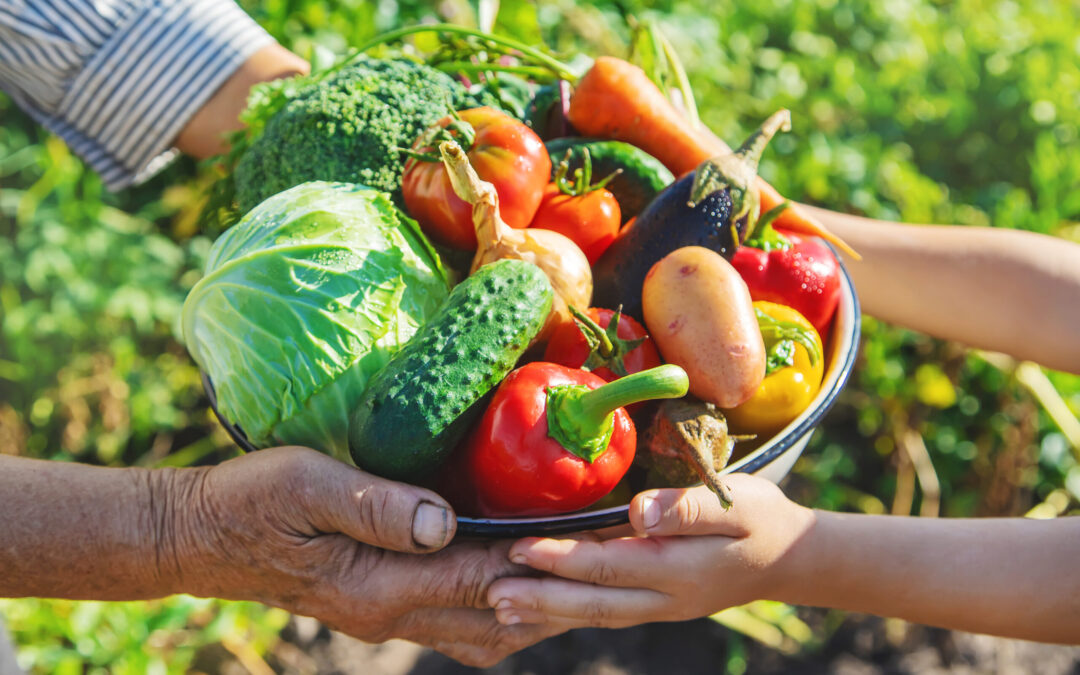 Aubergine Kitchen Helps Reduce the risk of Alzheimer’s
