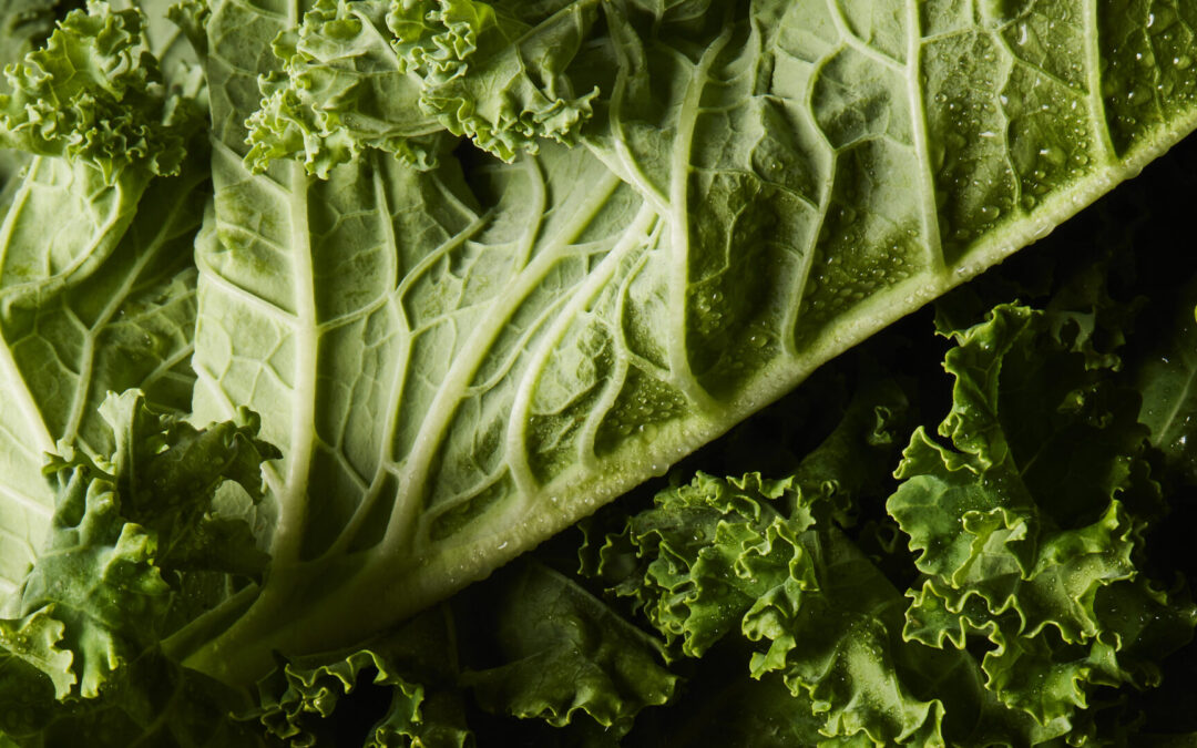 Why Fiber Is One of the Most Important Things You Can Eat